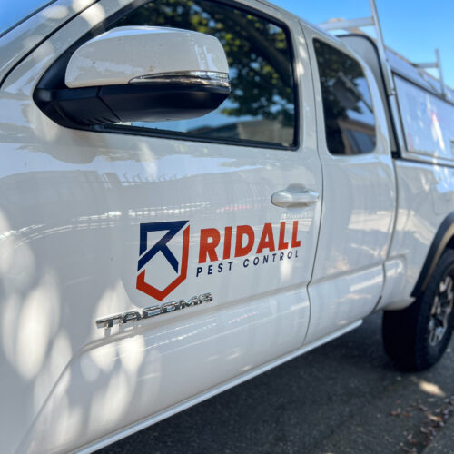 Ridall pest control car