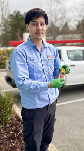 rat-exterminator
