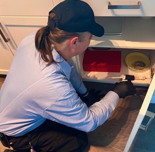 ant-inspection-services