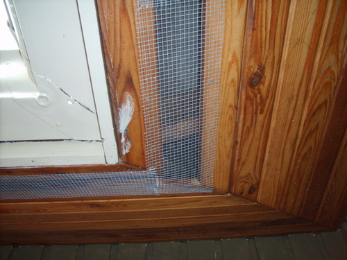 rodent-control-inspection