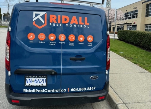 Residential-pest-control-services-in-Delta